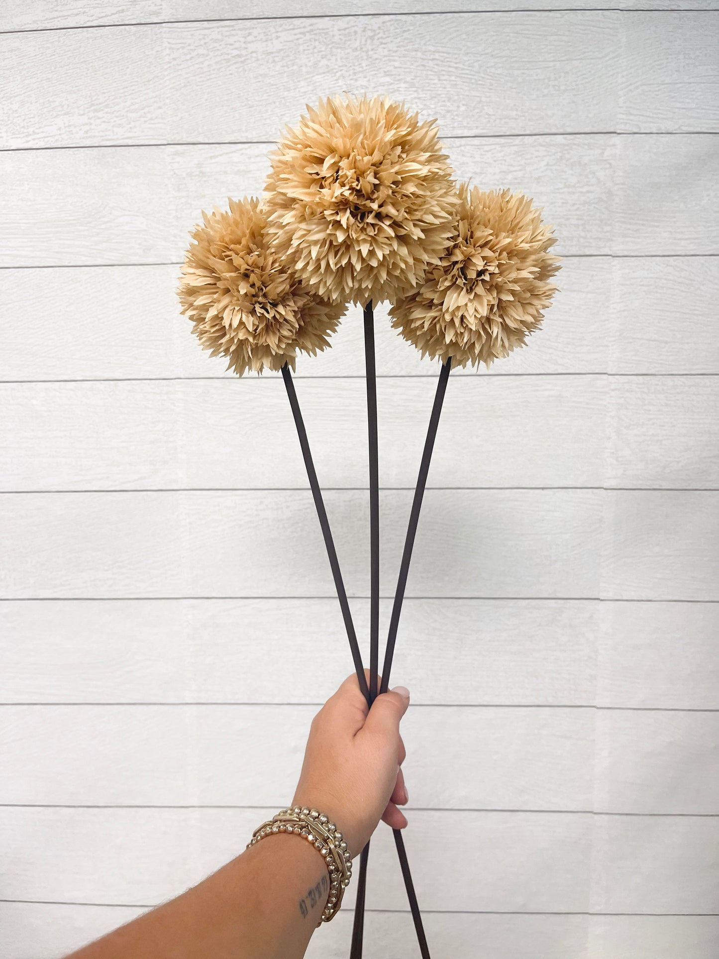 TAN ALLIUM